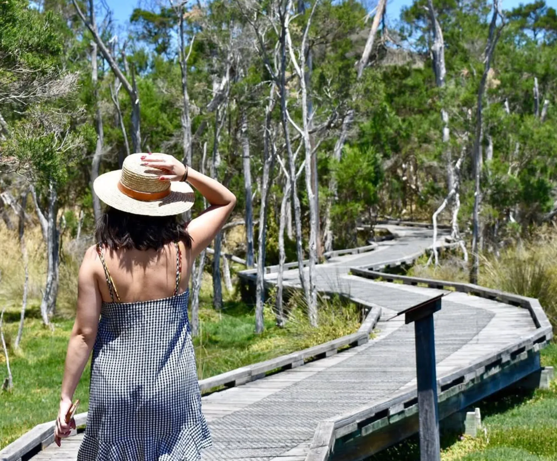 Rhyll Inlet and Conservation Hill