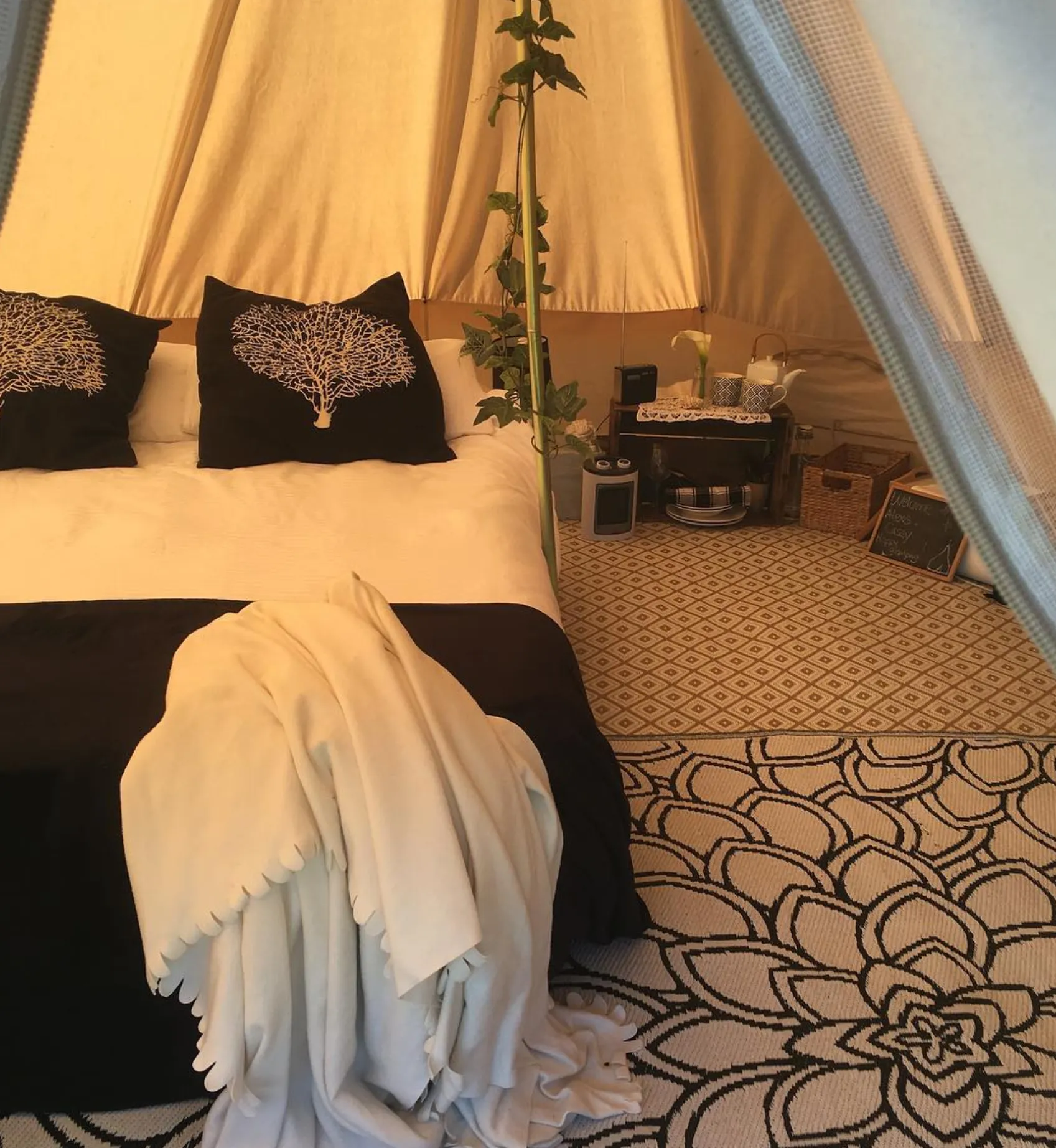 Salt Wood Glamping