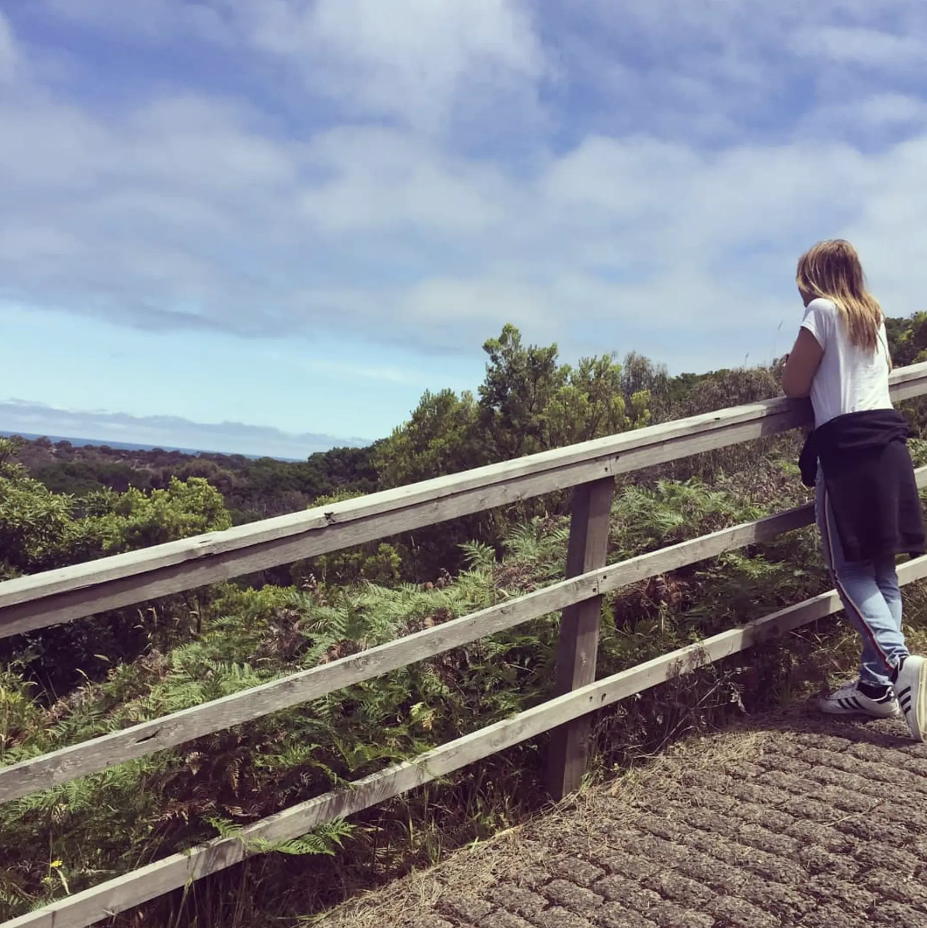 Self-Guided Walks
