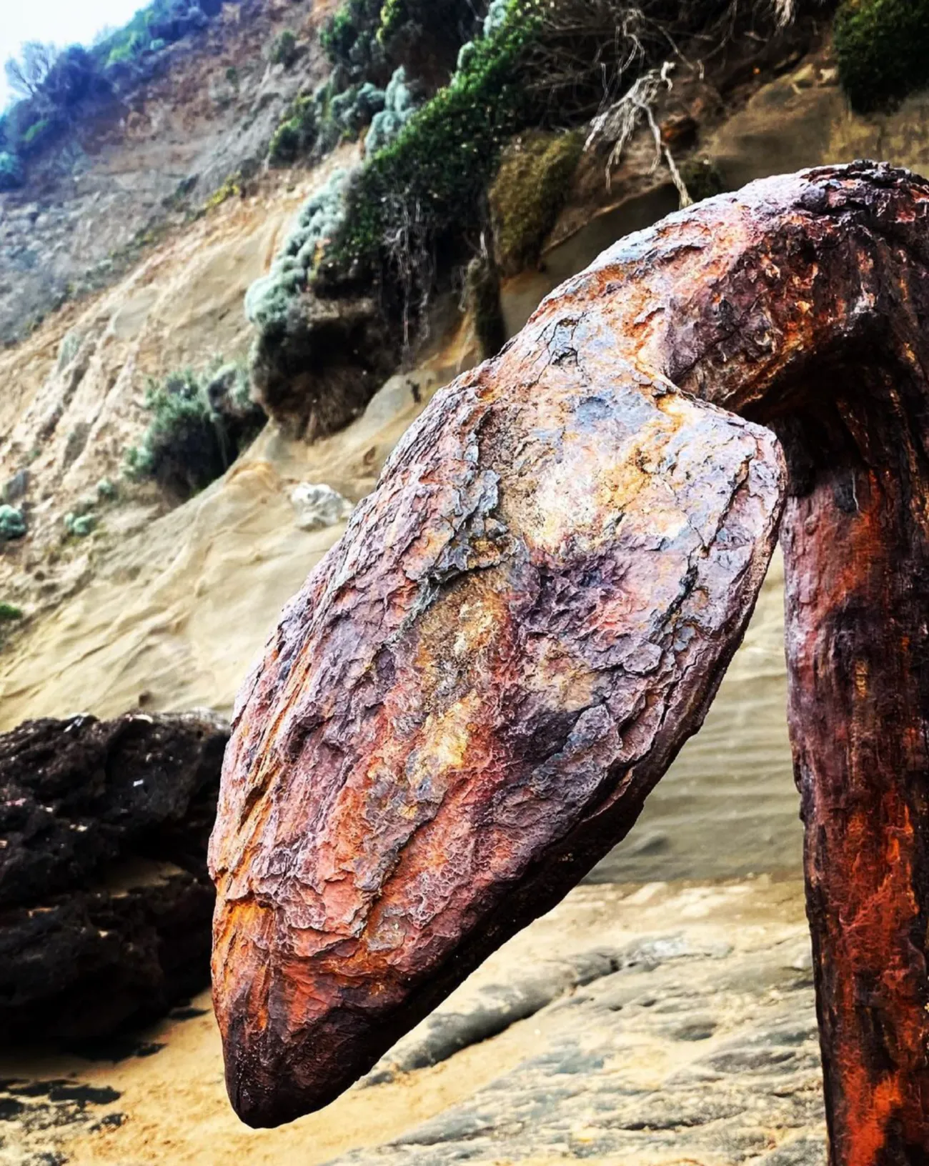 Shipwreck Coast near Peterborough