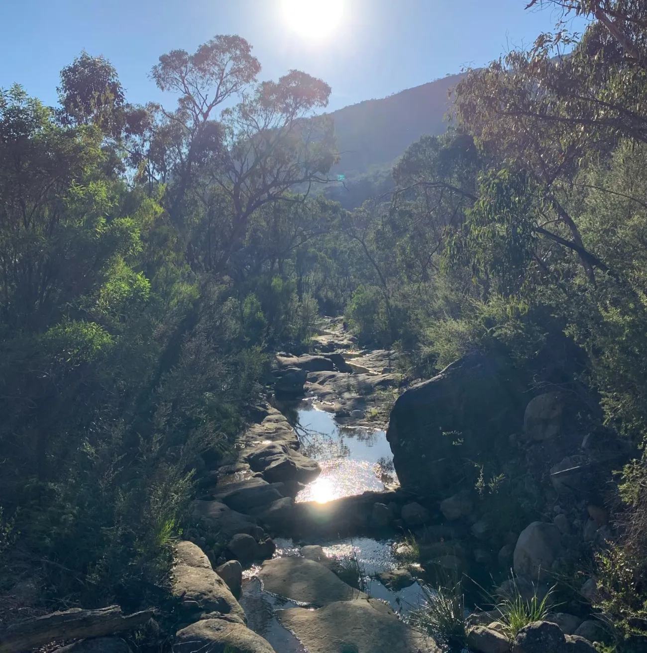 Splitter Falls