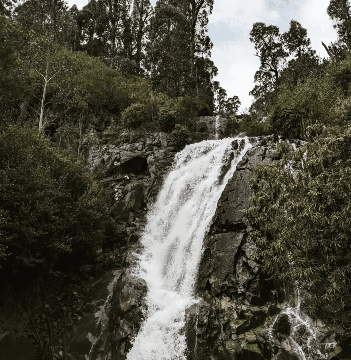 Steavenson Falls