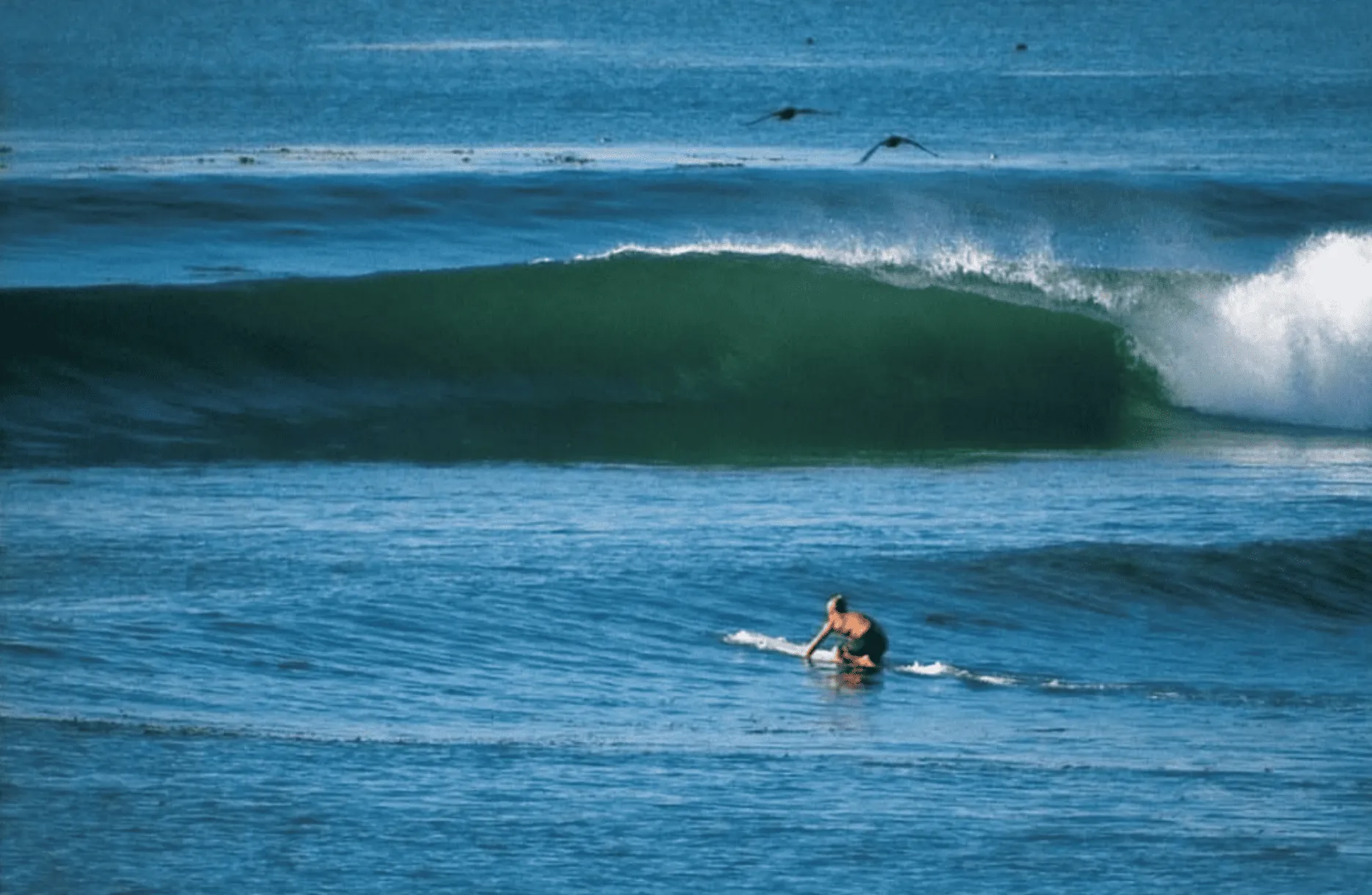 Surf Beach History