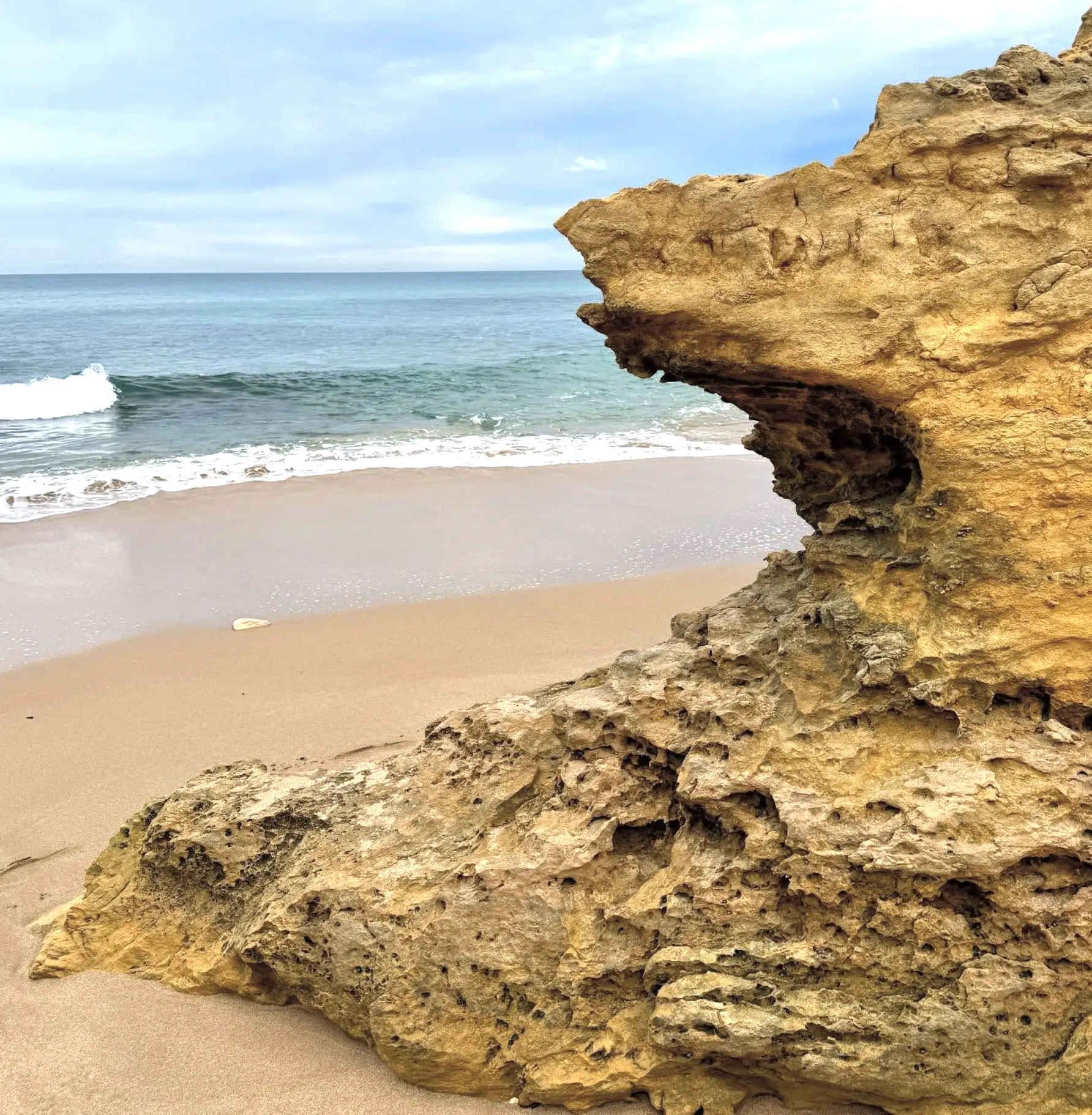 Surf Capital of Australia