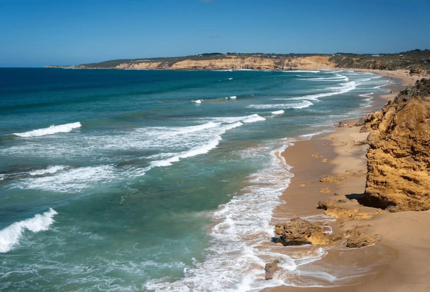 Surf Conditions