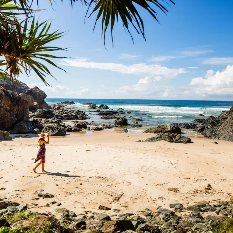 Sydney to Cairns tour
