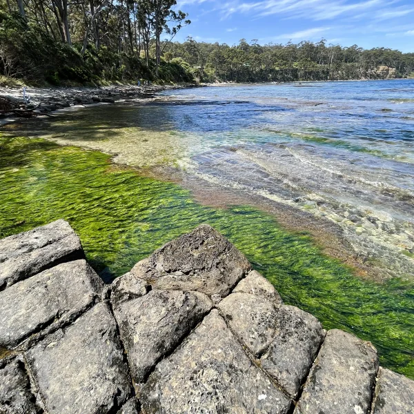 Tasmania 6 day adventure tour