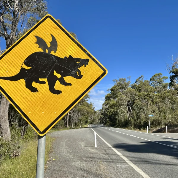 Tasmania 6 day cultural tour