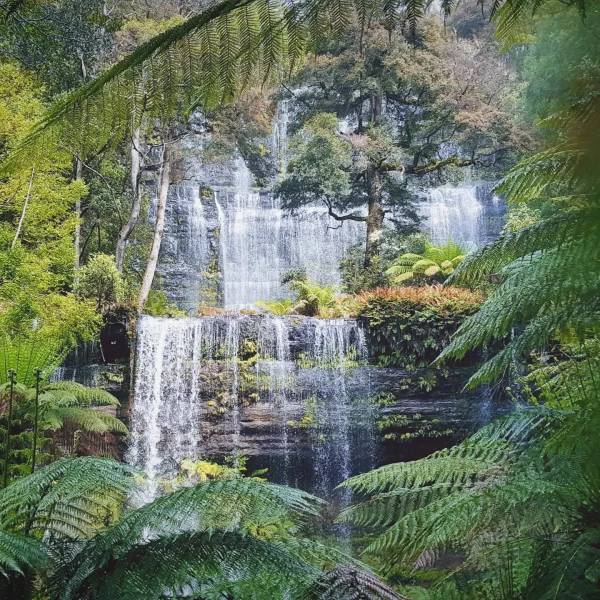 Tasmania 6 day group tour