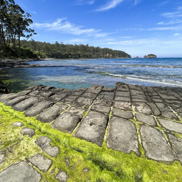 Tasmania 6 day guided tour