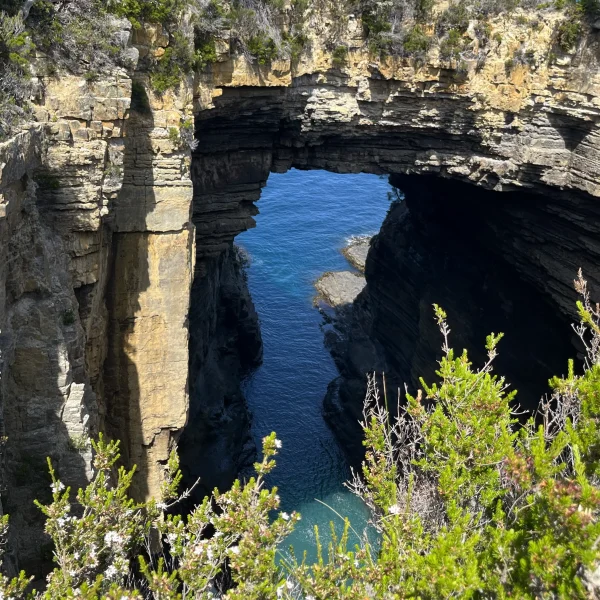 Tasmania 6 day luxury tour