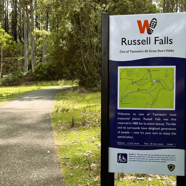 Tasmania 6 day nature tour