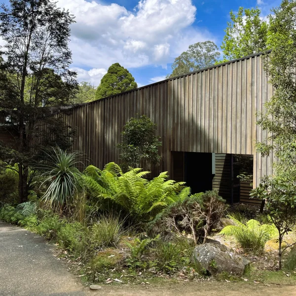 Tasmania 6 day road trip