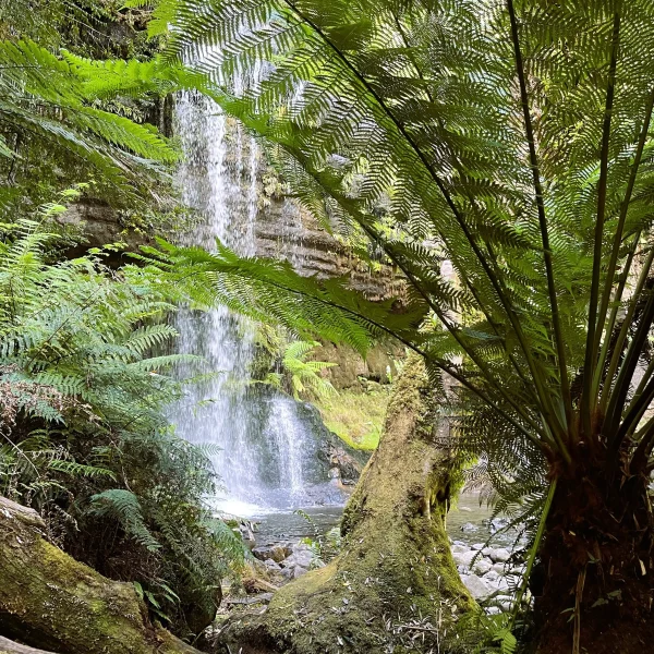 Tasmania 6 day travel trip