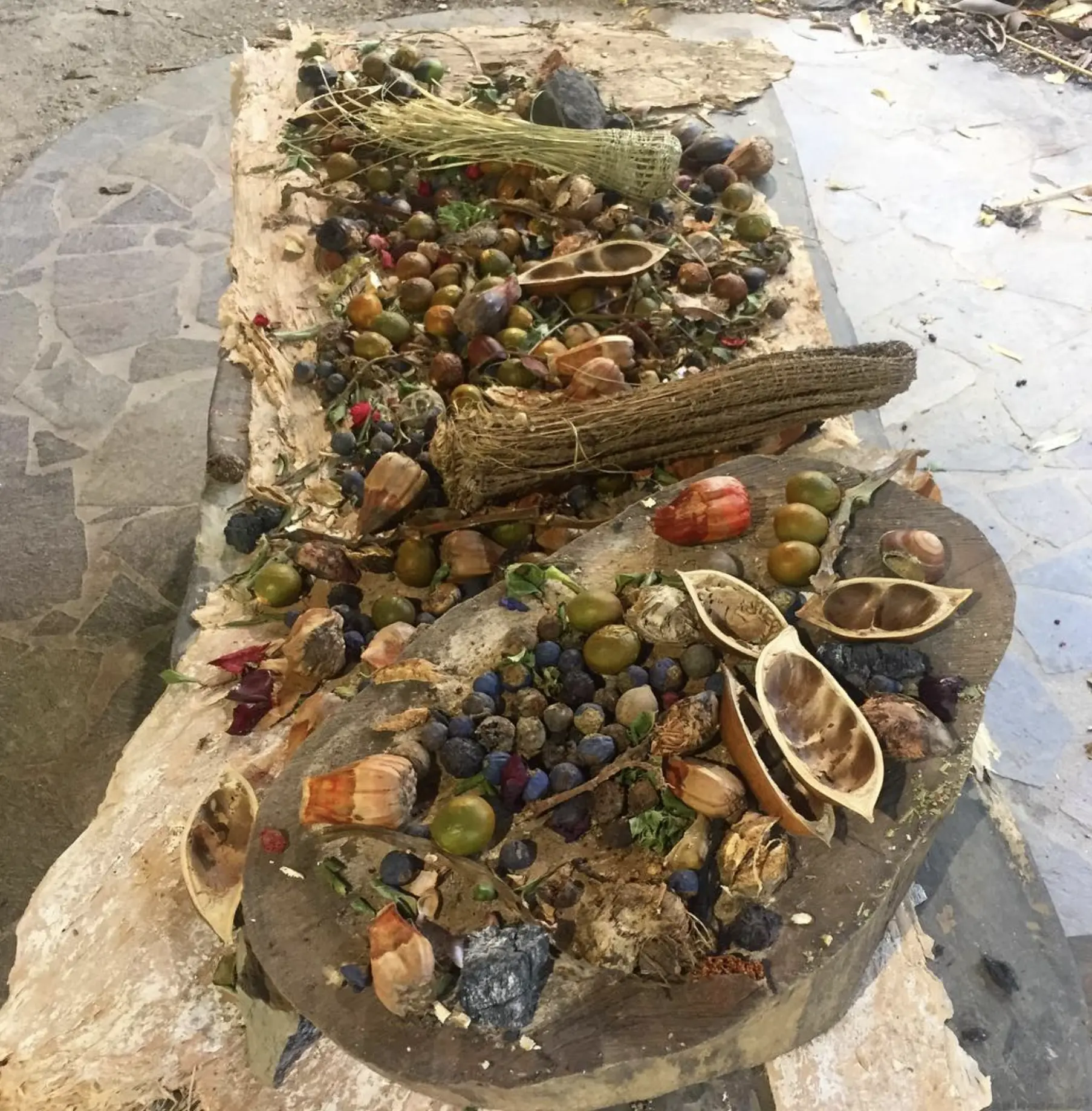 Tasting The Region's Bush Tucker Heritage