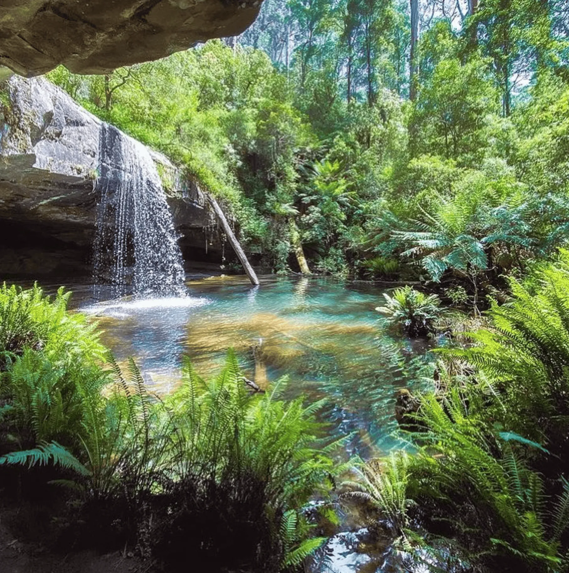 The Allure of Waterfalls