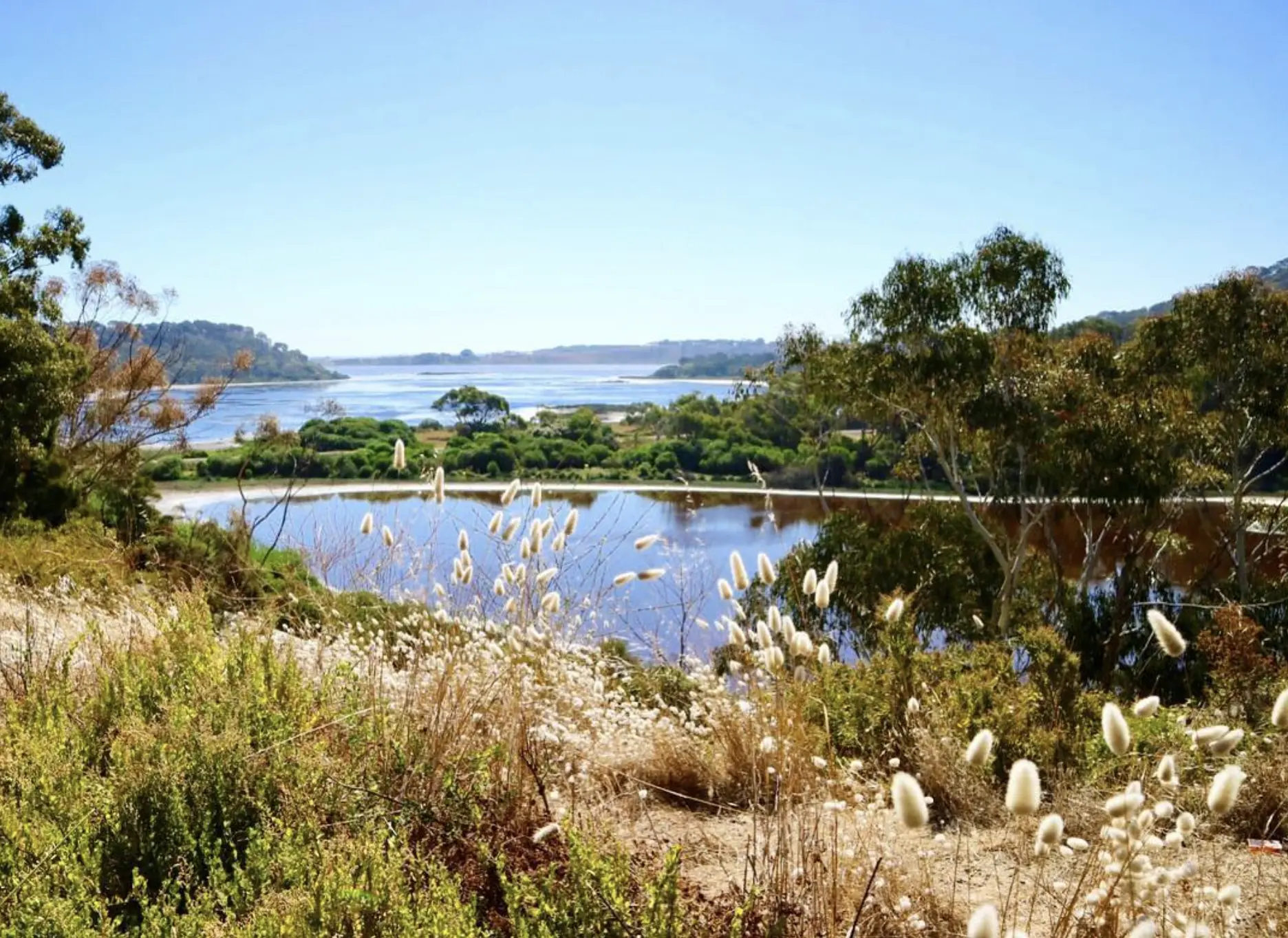 The Area Around the Hill