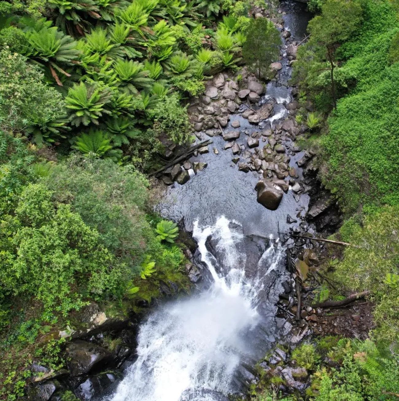 The Falls Experience