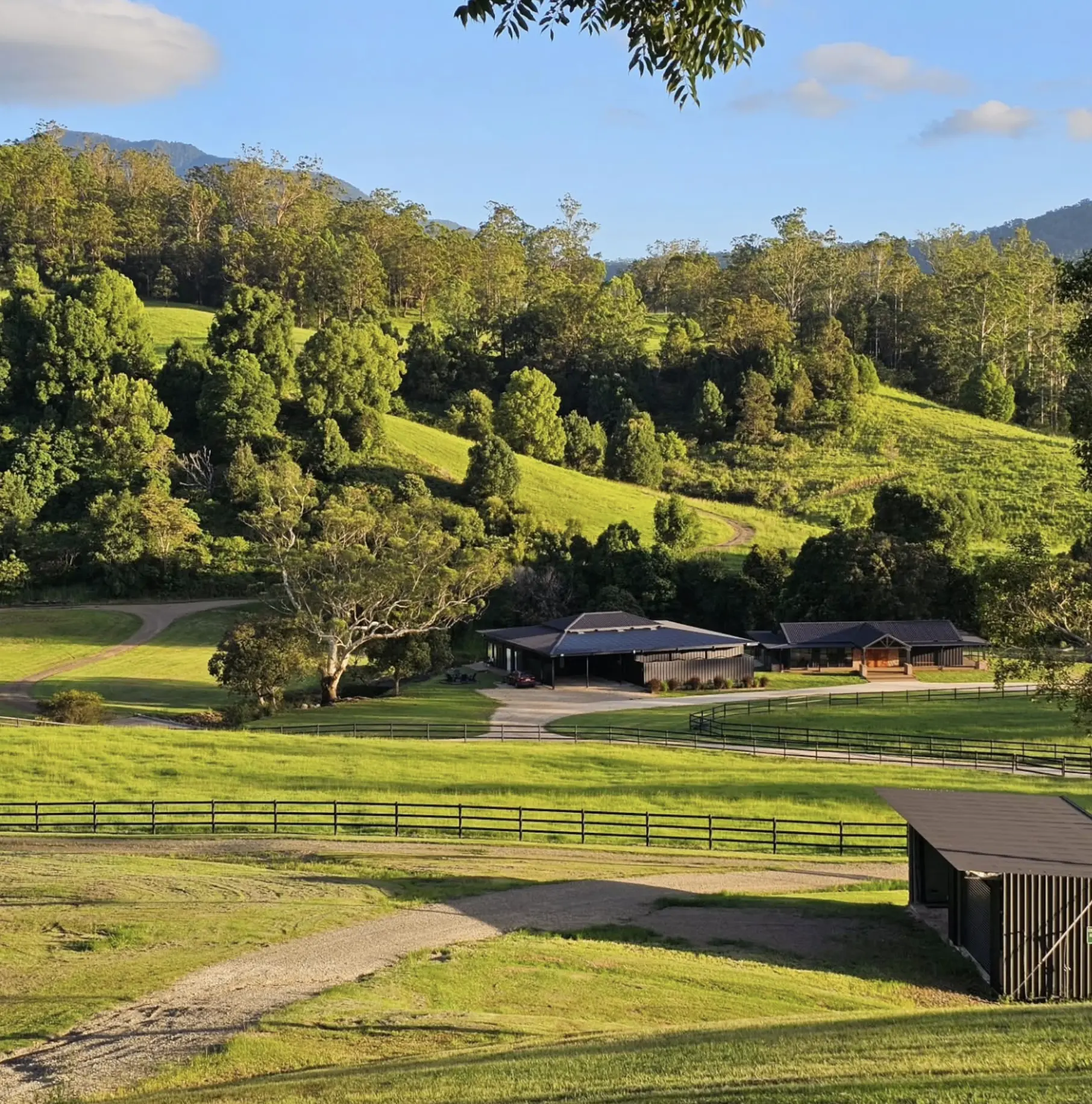 The Hinterland Steals The Show