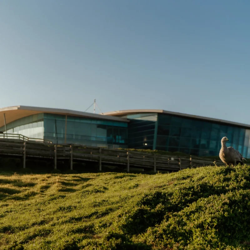The Nobbies Centre