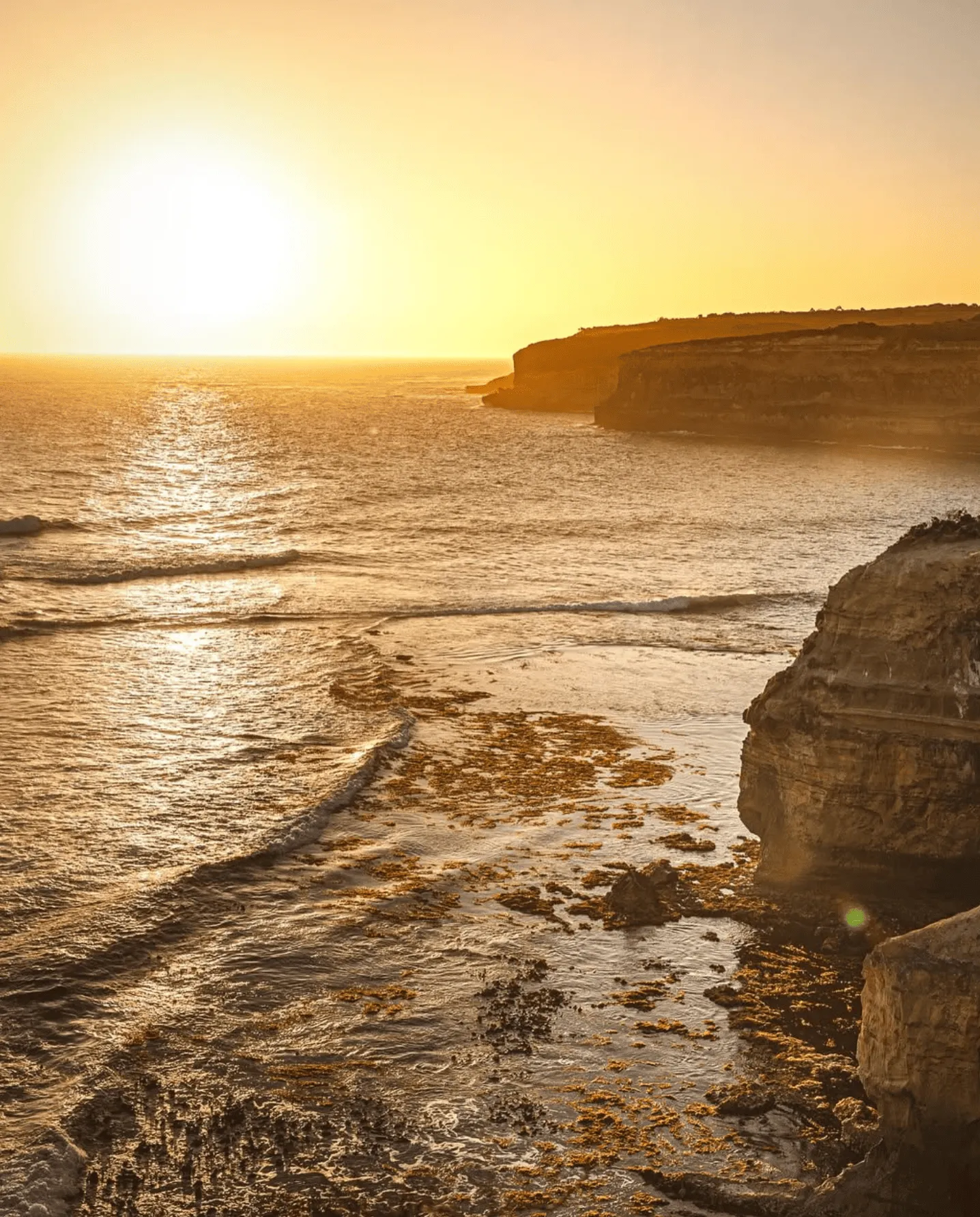 The Story of The Marine Sanctuary