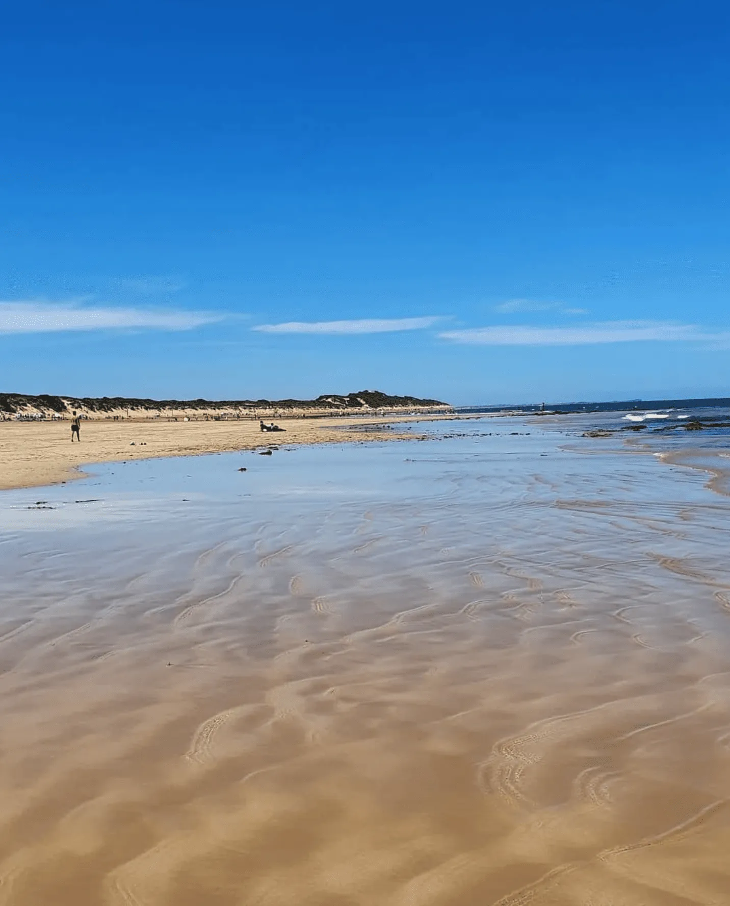 The Surf Coast Walk