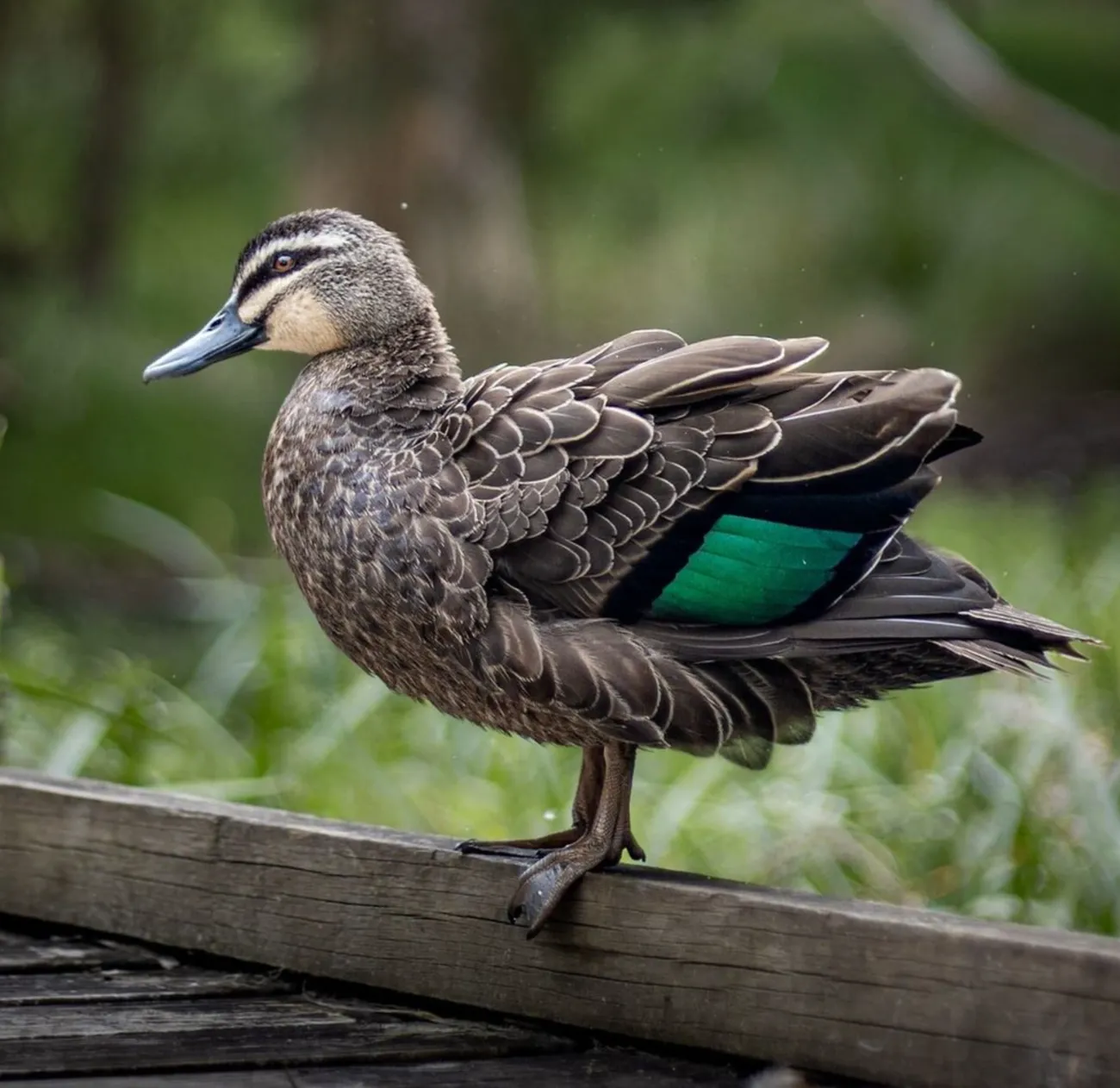 The Valley Lake Conservation Area