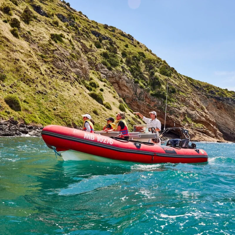 Things to do Great Ocean Road