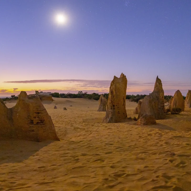 Things to do Pinnacles