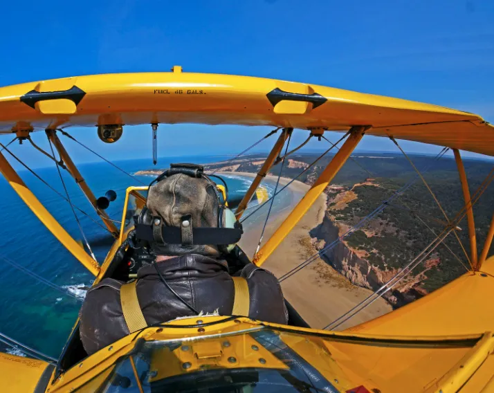 Tiger Moth Adventures