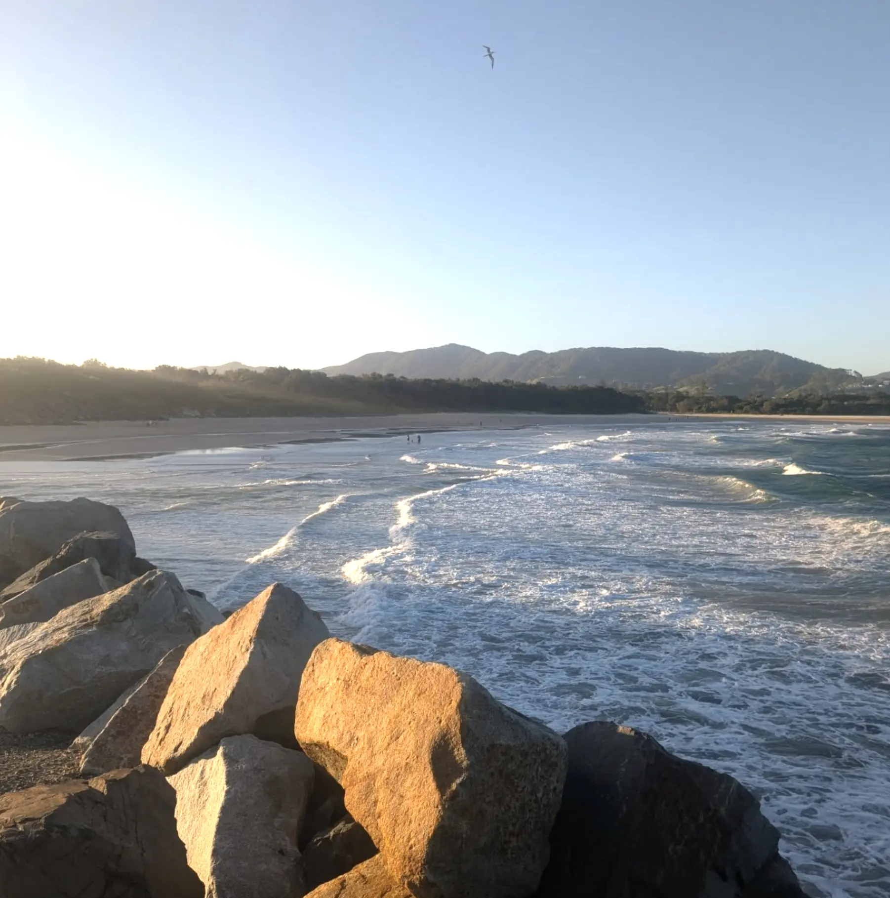 Time Your NSW North Coast Trip