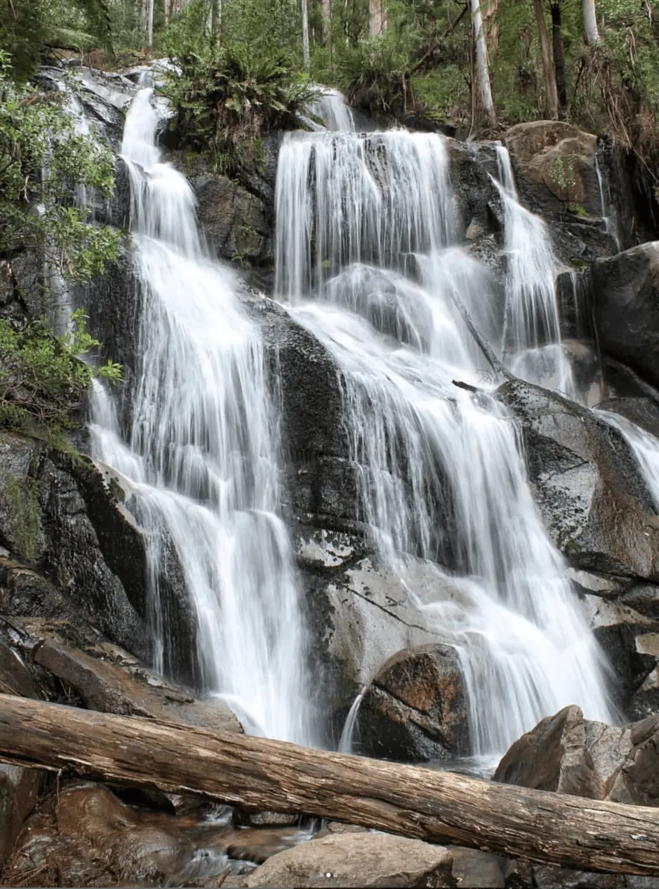 Toorongo Falls
