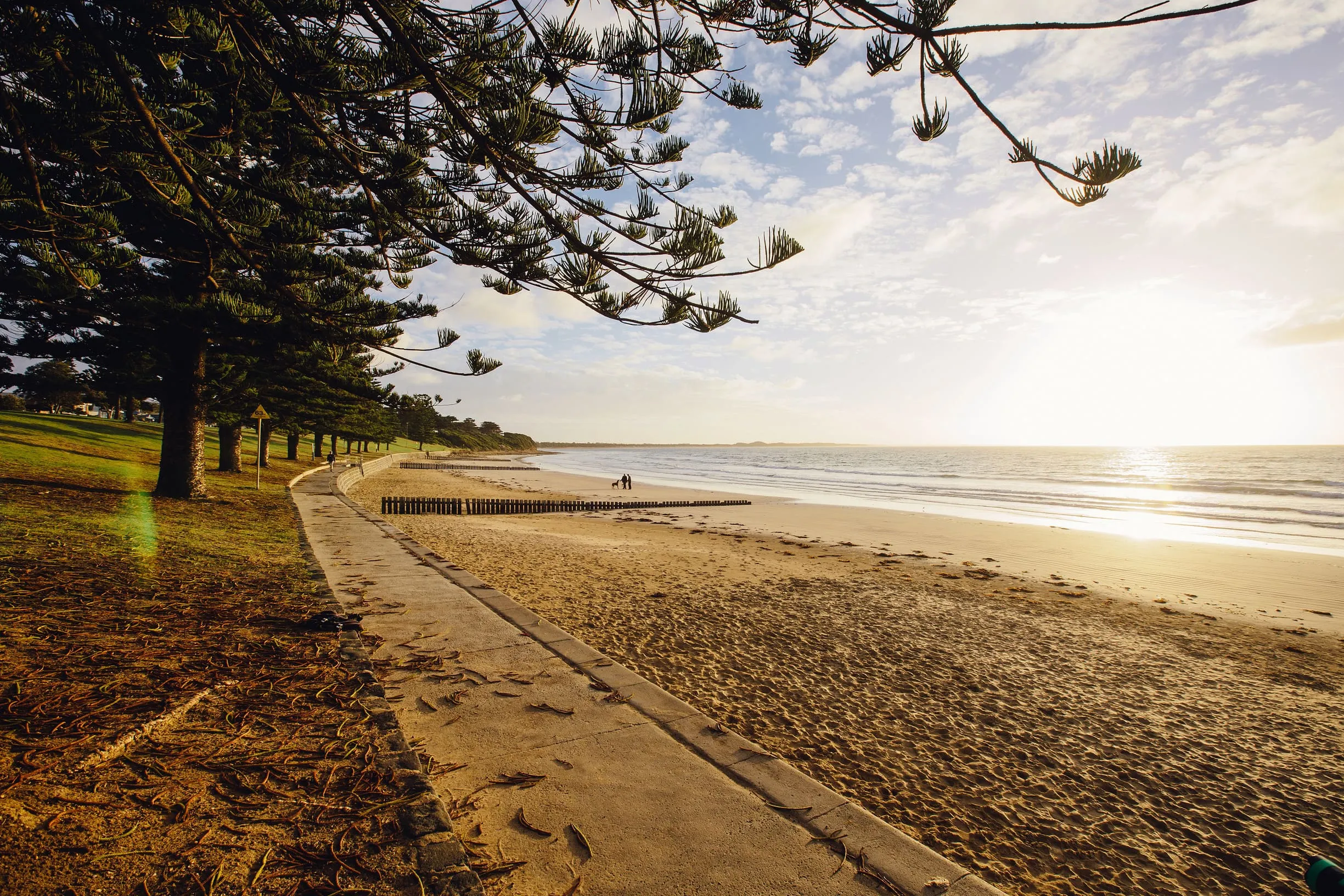 Try Surfing at TORQUAY