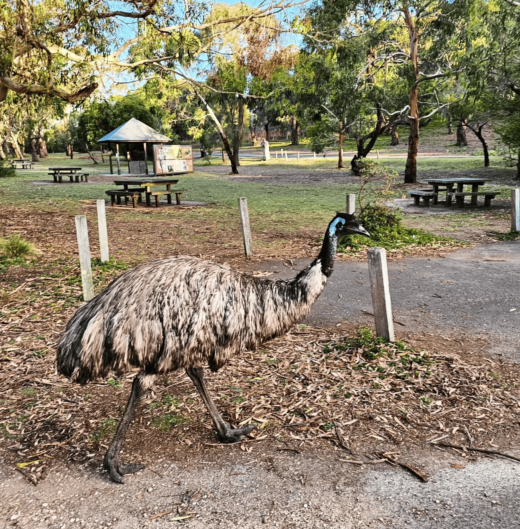 Tower Hill Reserve