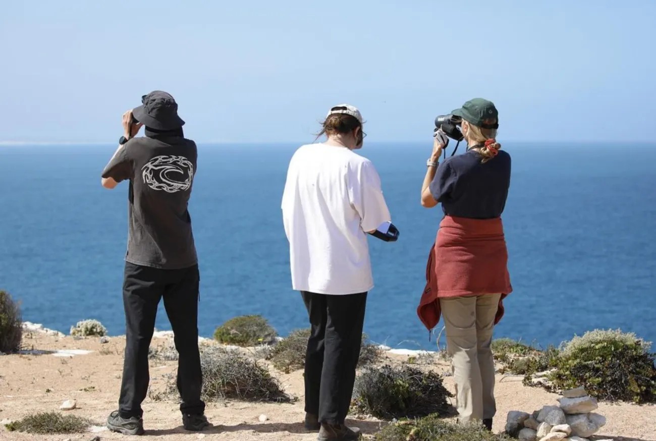 Tracking the Whale Migration