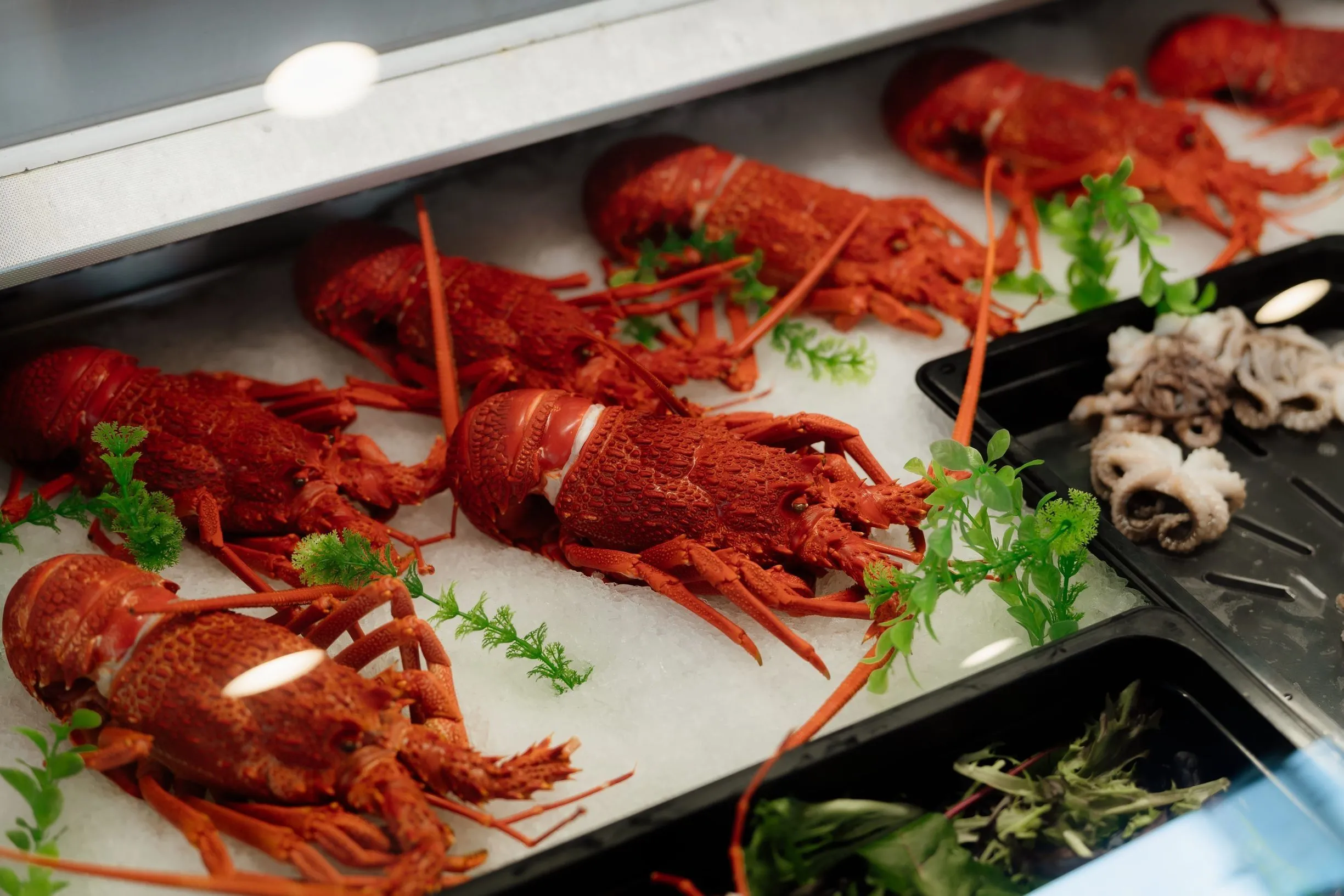 Try Fresh Seafood