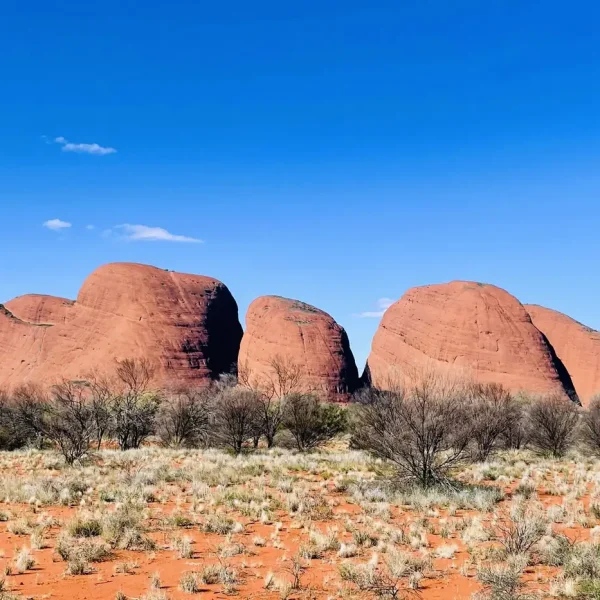 Uluru-Kata Tjuta National Park Olgas