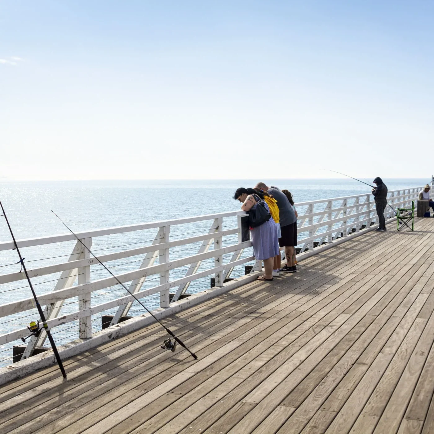 Visit the Coastline at Shornecliffe