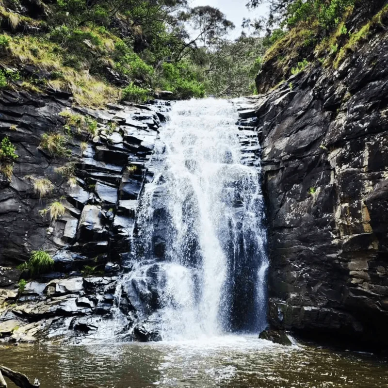 Visit the tranquil Sheoak Falls