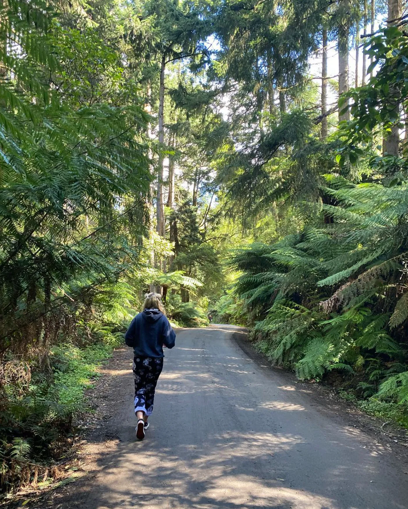 Walking Tracks and Trails