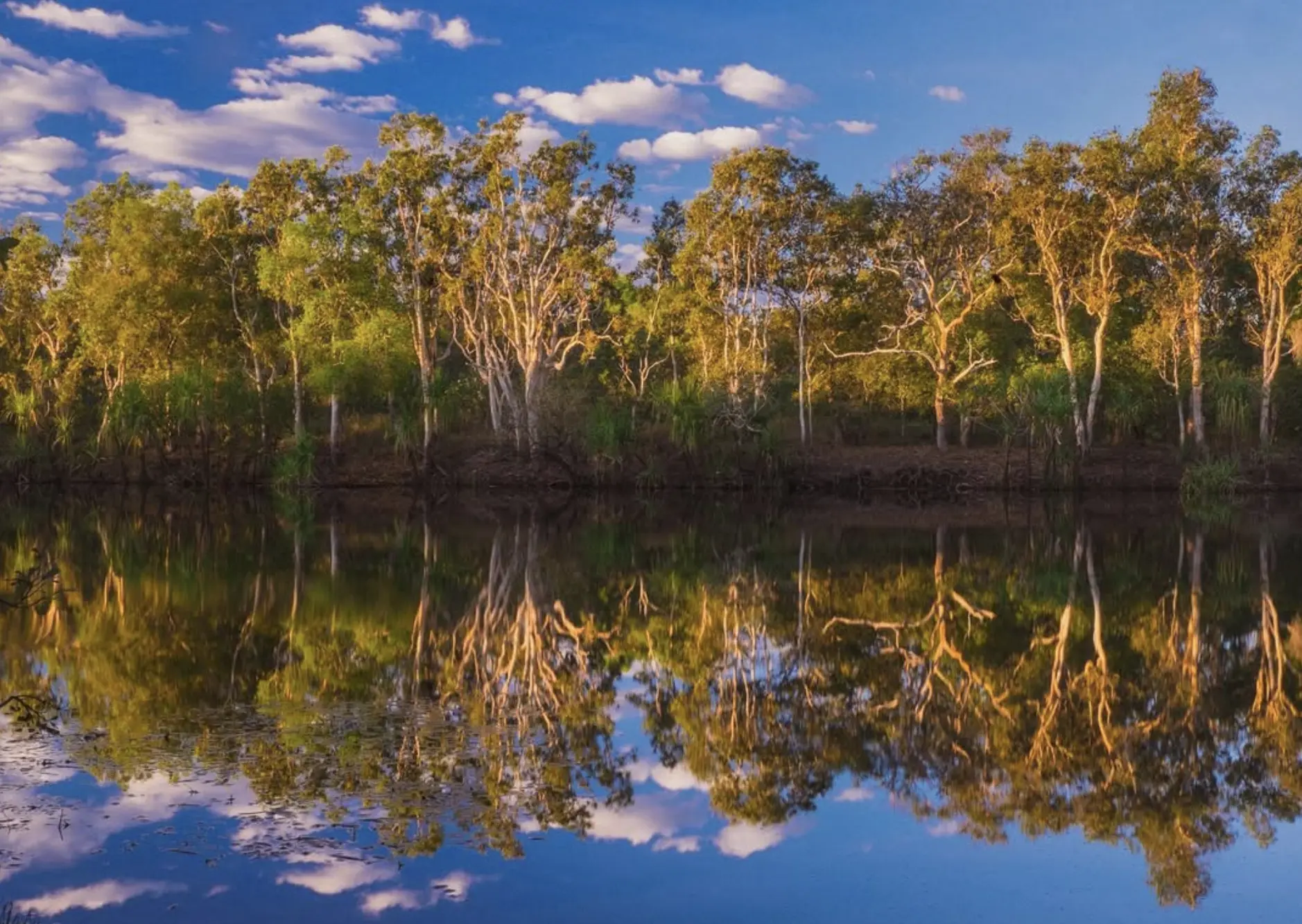 Walks Around Jabiru