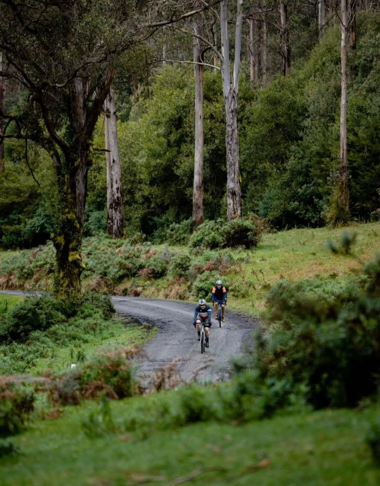 Warrnambool Rail Trail