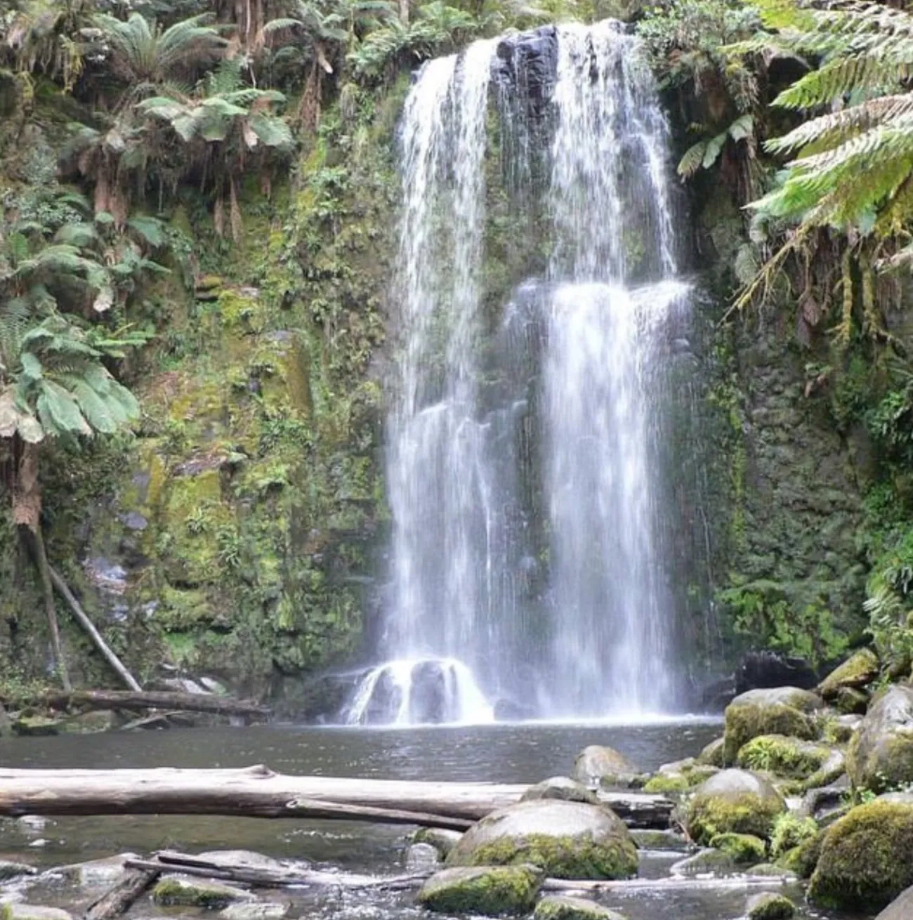 Waterfalls Beauchamp Falls