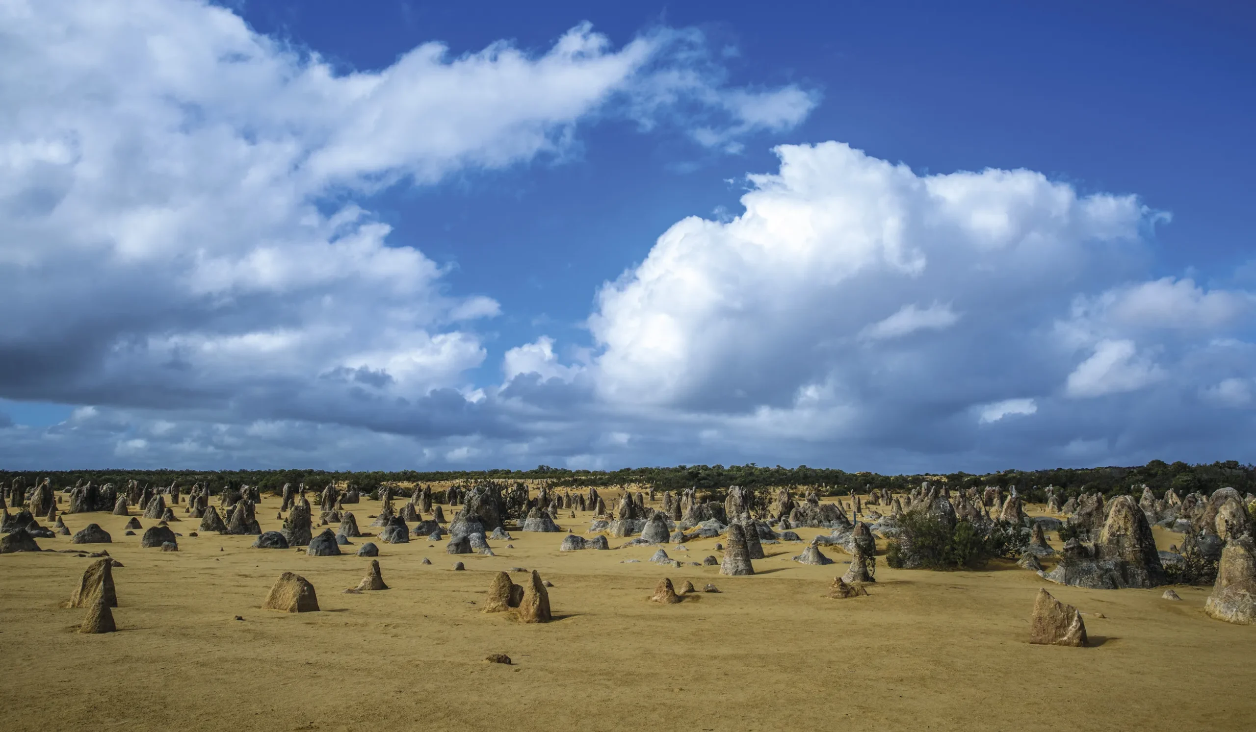 things to do pinnacles national park