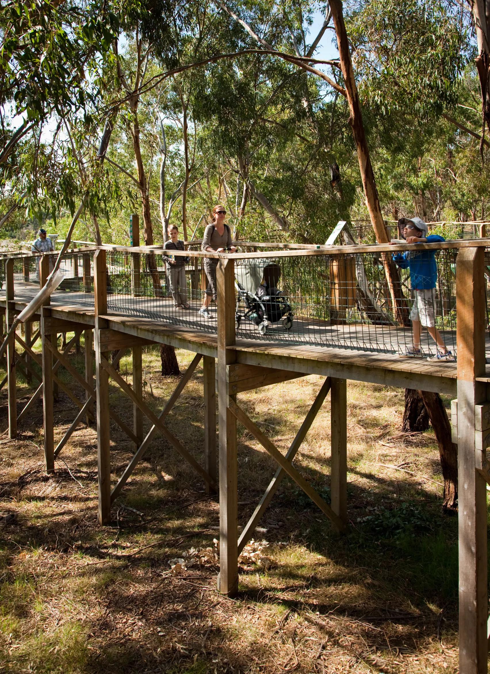 What to do at the Conservation Centre