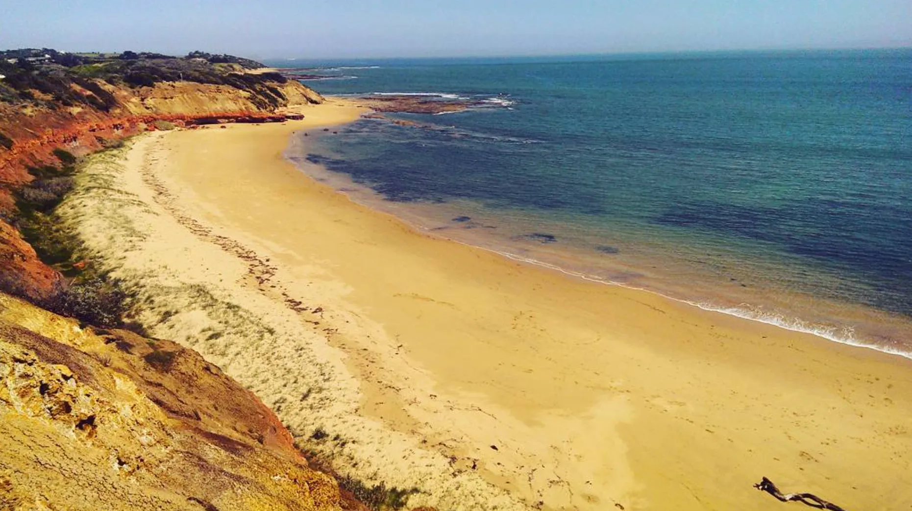 What’s Special About the Beach