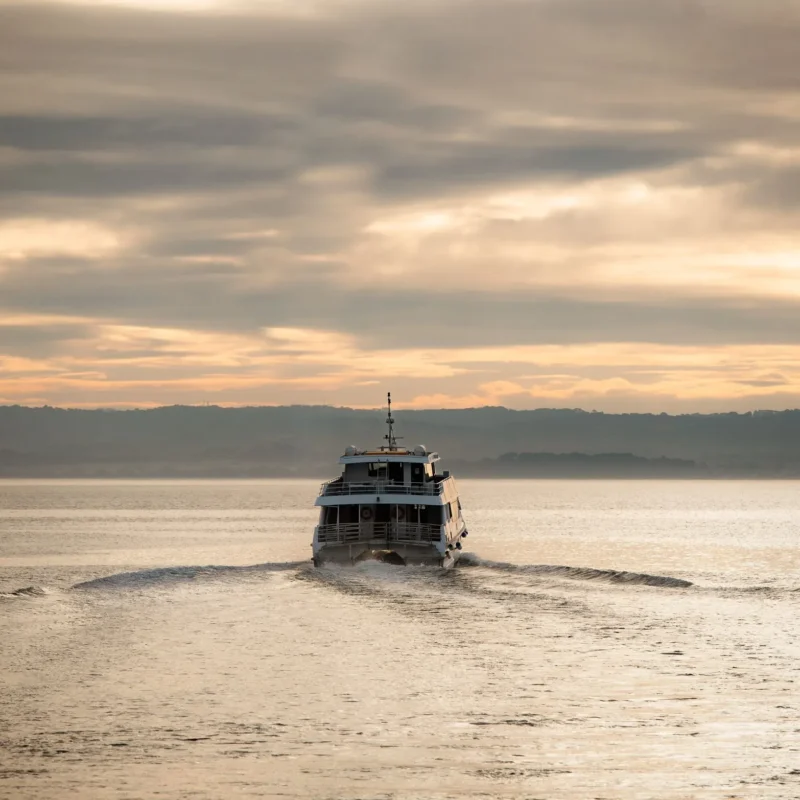 Wildlife Coast Cruises Phillip Island