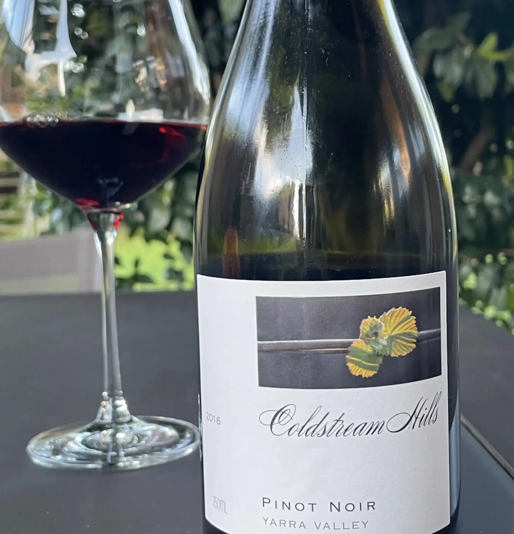 Wine Experience