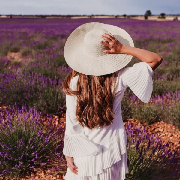 Yanchep Lavender Farm