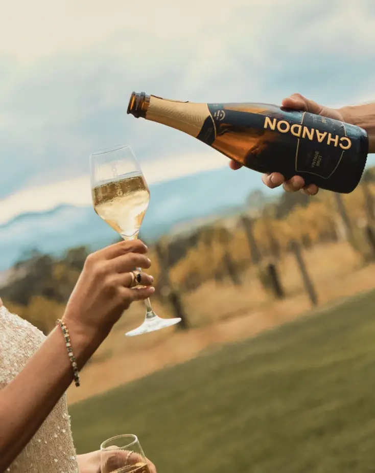 Yarra Valley Wine Tour